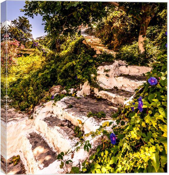 STEPS Canvas Print by Naylor's Photography