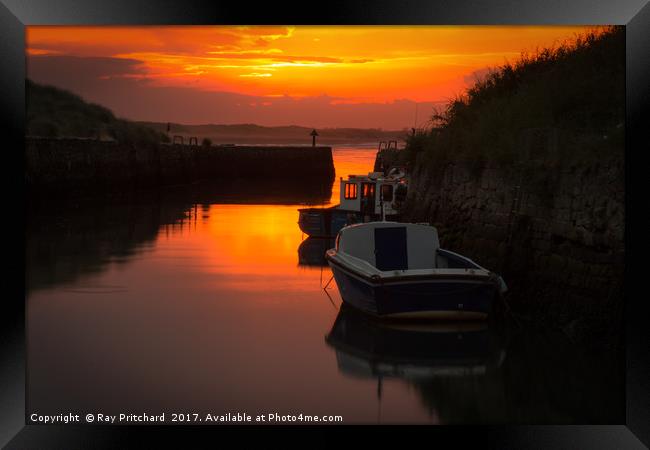 Seaton Sluice at Sunset Framed Print by Ray Pritchard