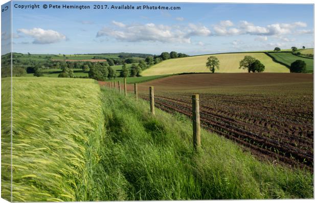 Hele Payne farm near Bradninch Canvas Print by Pete Hemington