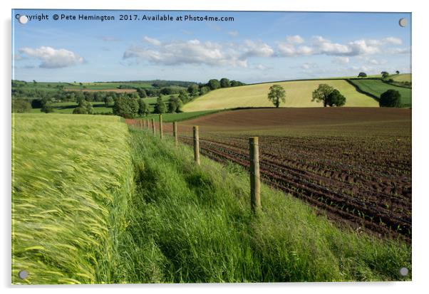 Hele Payne farm near Bradninch Acrylic by Pete Hemington