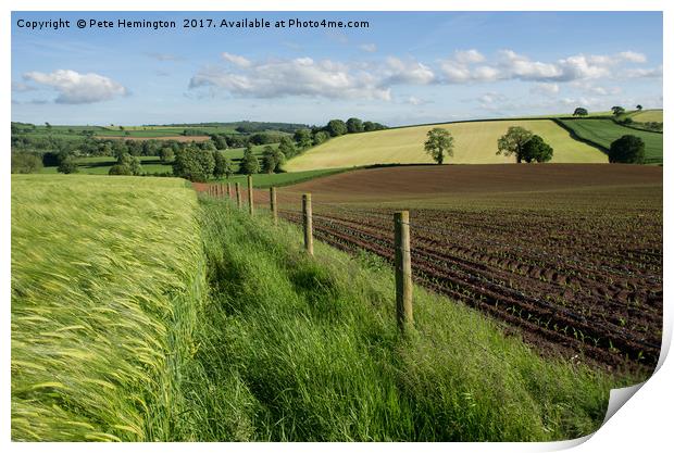 Hele Payne farm near Bradninch Print by Pete Hemington