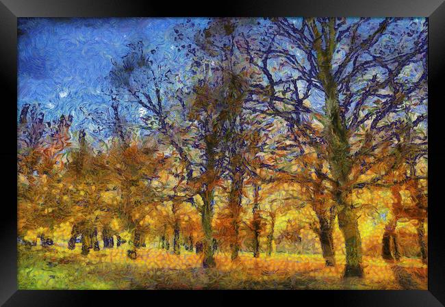 Sunset Trees Art Framed Print by David Pyatt