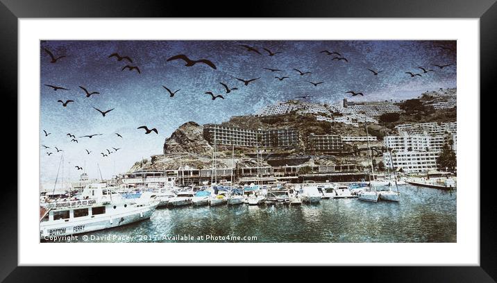 Dreaming  Framed Mounted Print by David Pacey