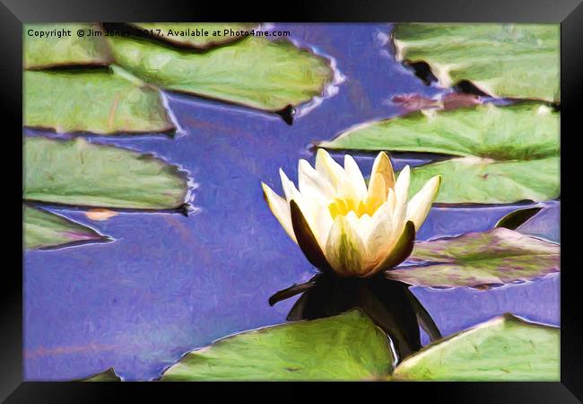 Artistic Water Lily Framed Print by Jim Jones