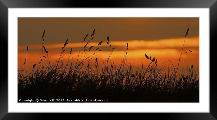 Grass Sunset Framed Mounted Print by Graeme B
