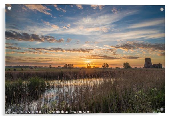 Norfolk sunrise Acrylic by Tom Dolezal