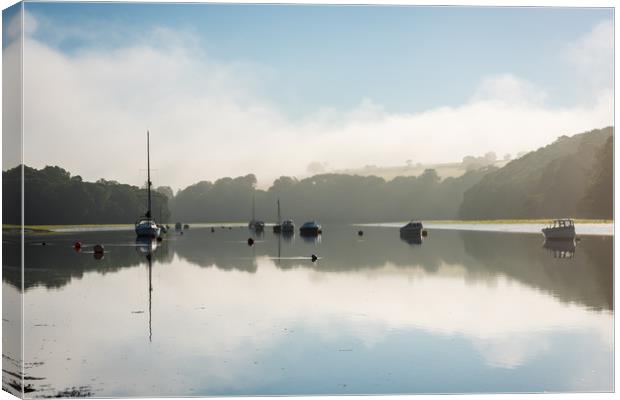 River tranquility Canvas Print by Michael Brookes