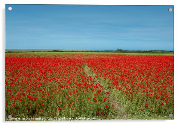 Poppies on West Pentire Acrylic by Diane Griffiths