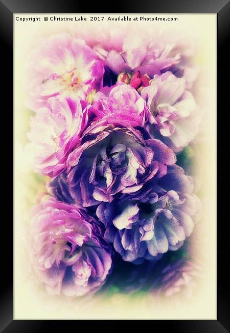 Floral Extravaganza Framed Print by Christine Lake