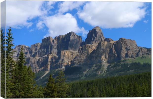 Castle Mountain - Bow Valley Parkway Canvas Print by Christiane Schulze