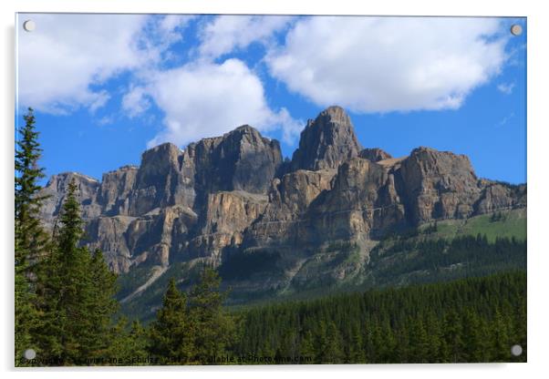 Castle Mountain - Bow Valley Parkway Acrylic by Christiane Schulze