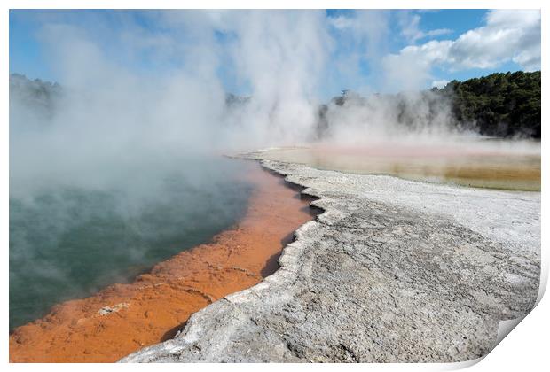 Champagne Pools, Rotorura, North Island Print by Janette Hill