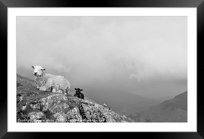 Great Langdales Framed Mounted Print by Kevin White