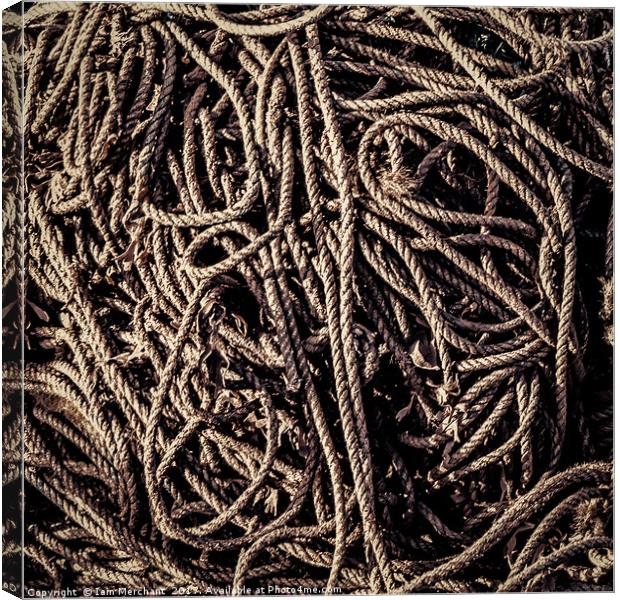 Rope Tangle Abstract Canvas Print by Iain Merchant