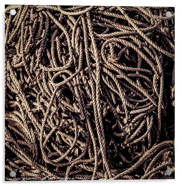 Rope Tangle Abstract Acrylic by Iain Merchant