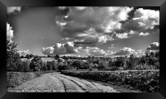 Pathways to Follow Framed Print by Iain Merchant