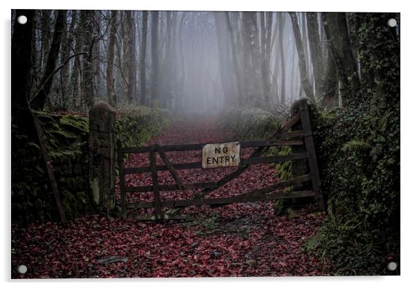 Forbidden Woods Acrylic by John Baker