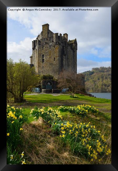 Spring at Eilean Donan Castle Framed Print by Angus McComiskey