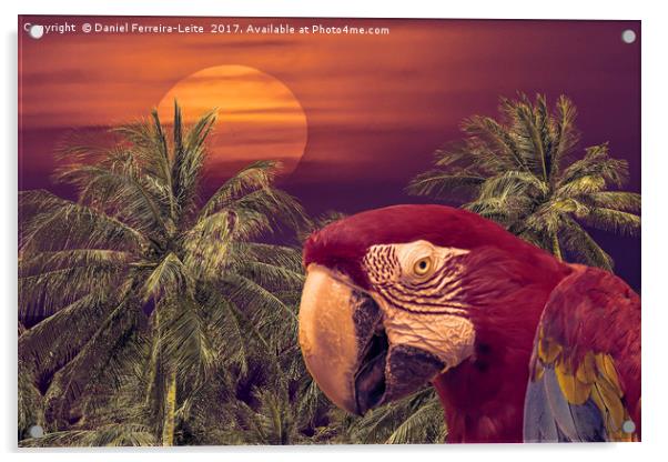 Tropical Background Collage Design Acrylic by Daniel Ferreira-Leite