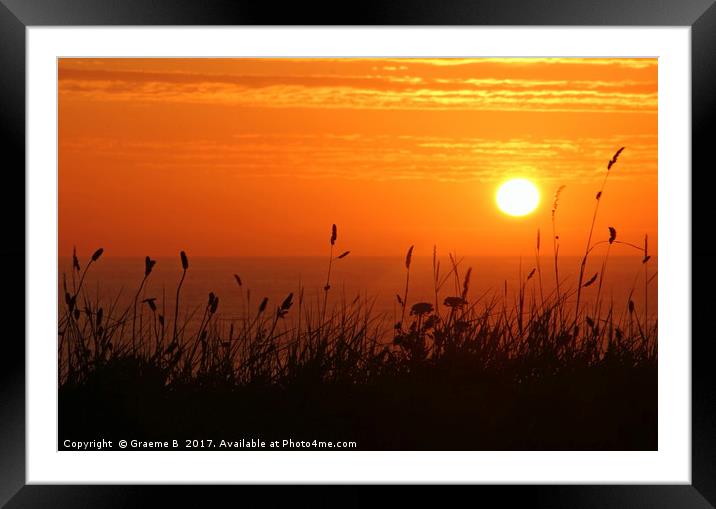 Grass Sunset 2 Framed Mounted Print by Graeme B