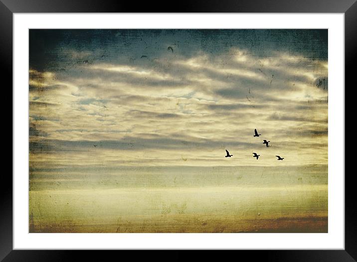 Skies Framed Mounted Print by piera catalano