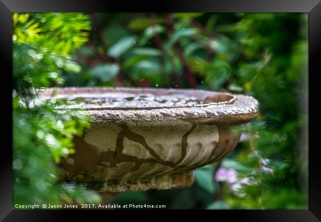 Stone Birdbath / Bird Bath (Water) Framed Print by Jason Jones