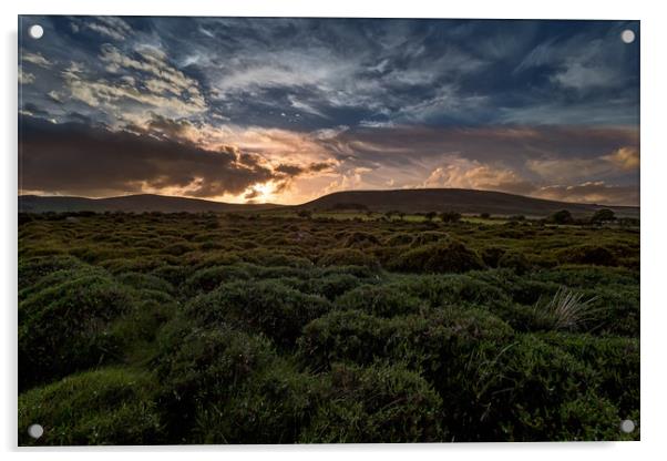 Preseli Sunset, Pembrokeshire, Wales, UK Acrylic by Mark Llewellyn