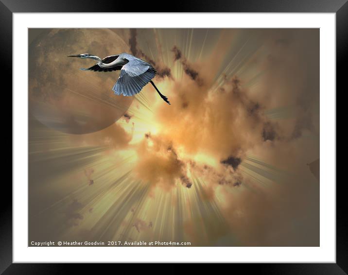Burst of Flight Framed Mounted Print by Heather Goodwin