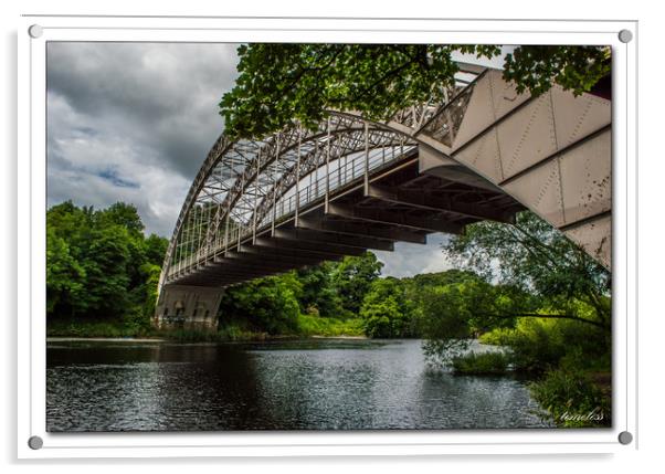 Haggs Bank Bridge Acrylic by John Ellis