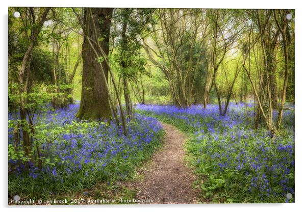 Clapham Wood Bluebells Acrylic by Len Brook