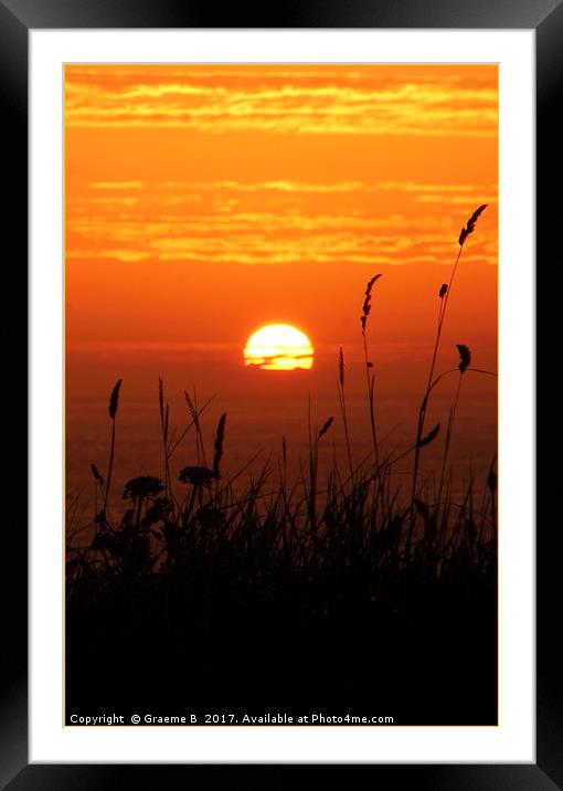 Grass Sunset 3 Framed Mounted Print by Graeme B