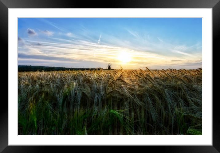 Fields of Barley and Burnham Overy mill Framed Mounted Print by Gary Pearson