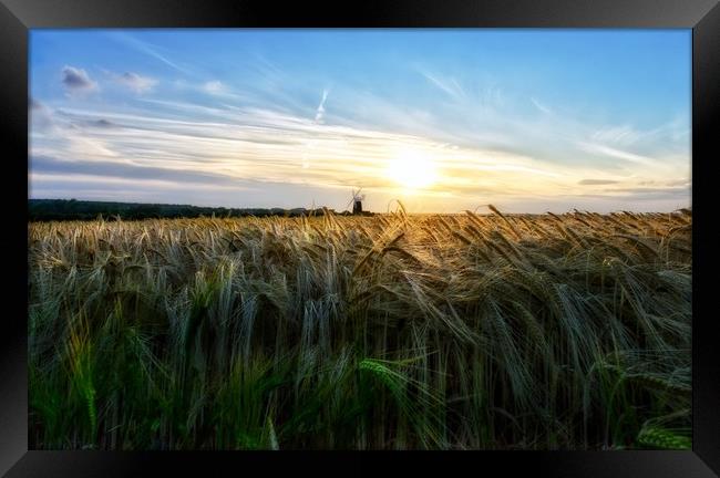 Fields of Barley and Burnham Overy mill Framed Print by Gary Pearson