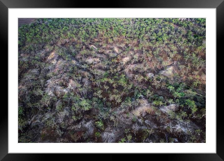 Trees from the air Framed Mounted Print by Janette Hill