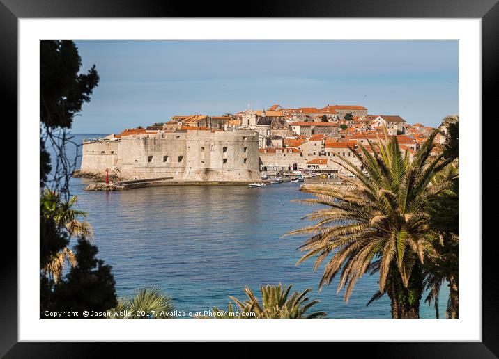 Dubrovnik framed by the trees Framed Mounted Print by Jason Wells