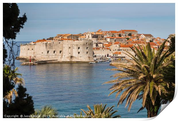 Dubrovnik framed by the trees Print by Jason Wells