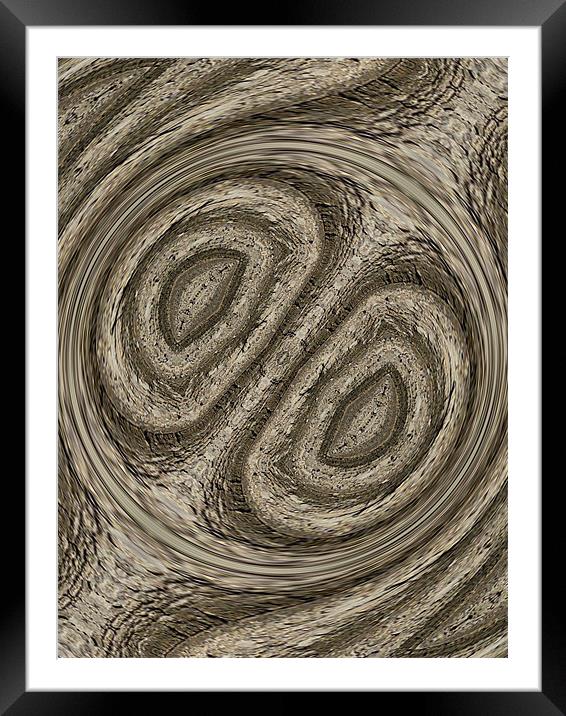 tree bark abstract Framed Mounted Print by Heather Newton