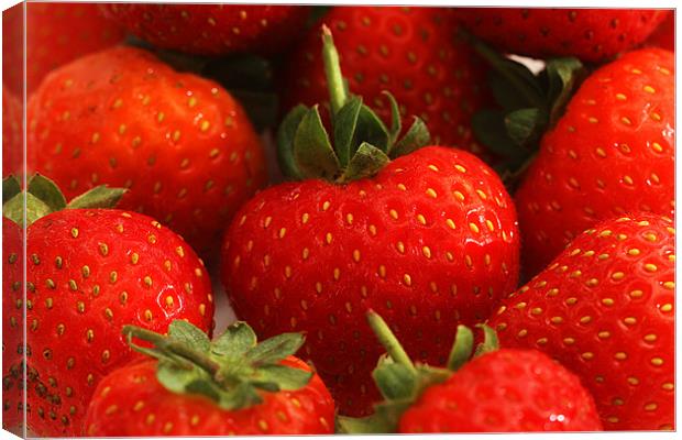 Strawberry Delight Canvas Print by Gill Allcock