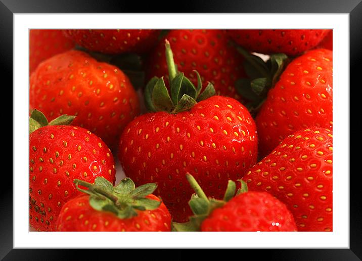 Strawberry Delight Framed Mounted Print by Gill Allcock