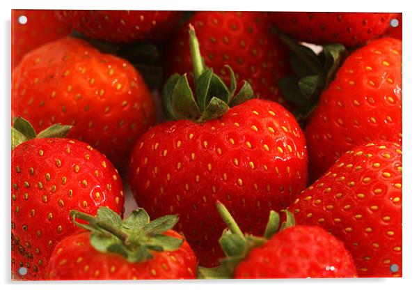 Strawberry Delight Acrylic by Gill Allcock
