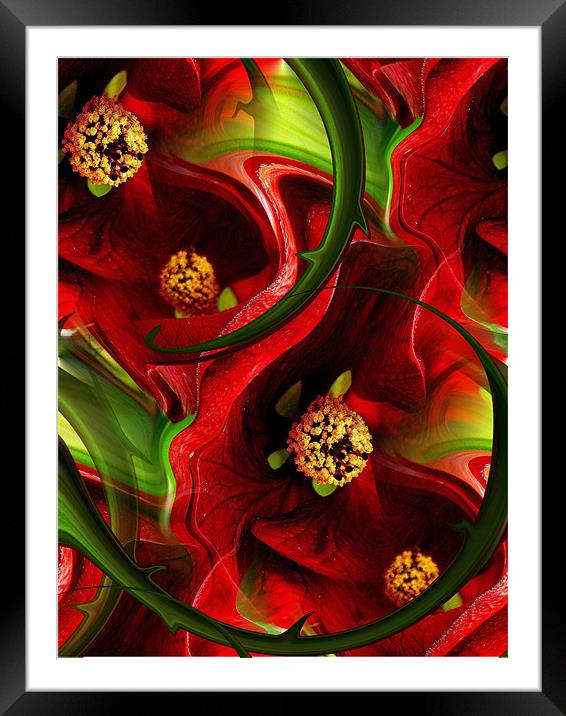 tropical red Framed Mounted Print by Heather Newton