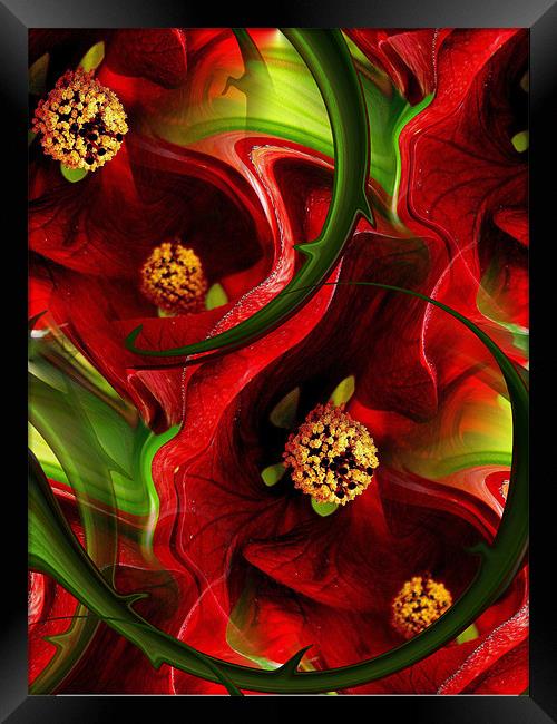 tropical red Framed Print by Heather Newton