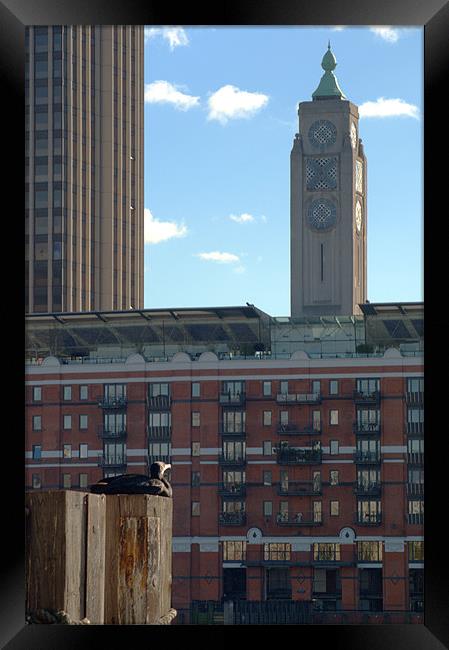 Oxo Tower and admirer Framed Print by Chris Day