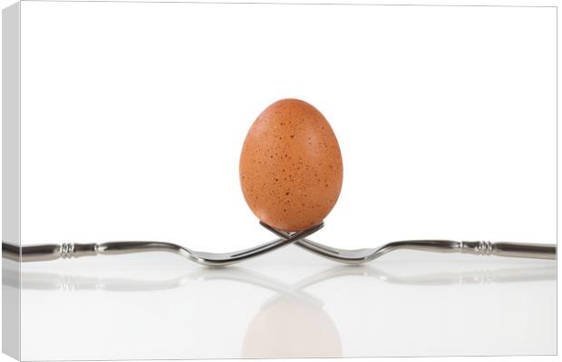 Isolated whole brown egg balanced on two forks Canvas Print by Thomas Baker