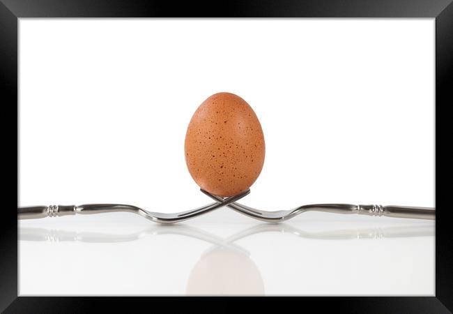 Isolated whole brown egg balanced on two forks Framed Print by Thomas Baker