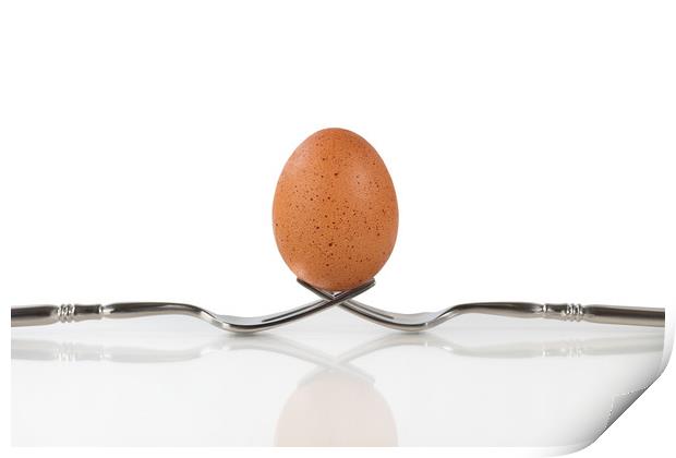 Isolated whole brown egg balanced on two forks Print by Thomas Baker