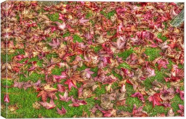 Autumn Leaves Canvas Print by Chris Thaxter