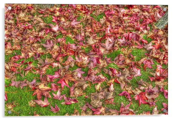 Autumn Leaves Acrylic by Chris Thaxter