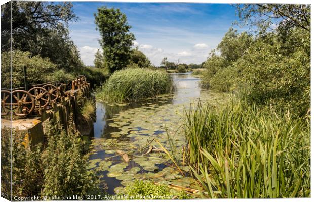 Sluice Gates at Cutt Mill in Dorset Canvas Print by colin chalkley