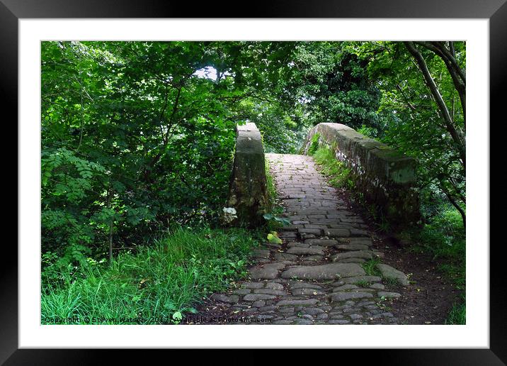 Dob Park Bridge Framed Mounted Print by Steven Watson